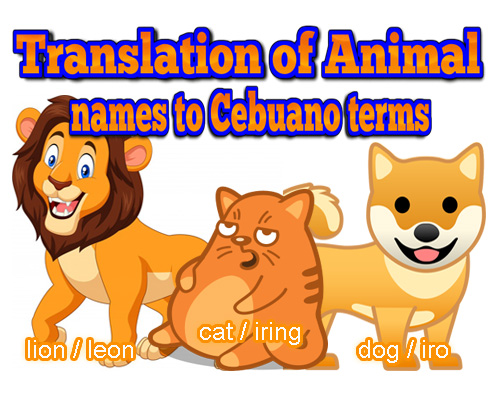 animal names in bisaya terms